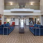 Comfort Suites Near Texas Medical Center - Nrg Stadium